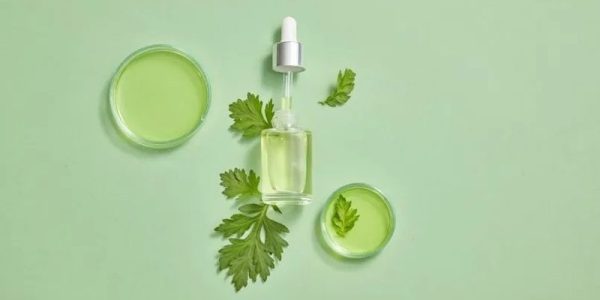 Mugwort - Skin Benefits