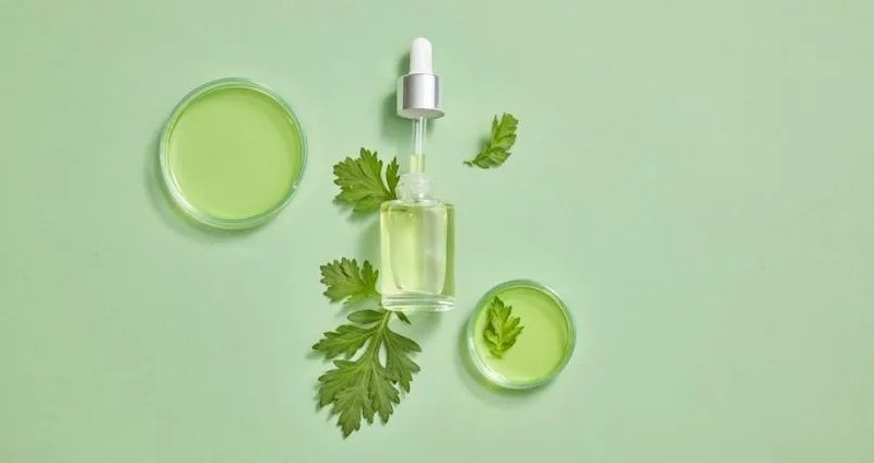 Mugwort - Skin Benefits
